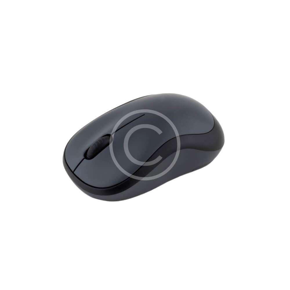 Computer Mouse